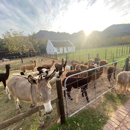 Alpaca Inn Монтегю Экстерьер фото