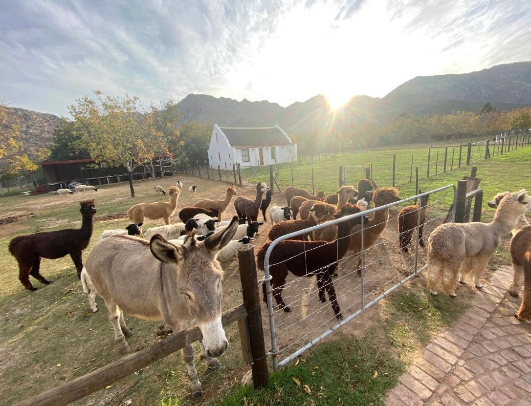 Alpaca Inn Монтегю Экстерьер фото